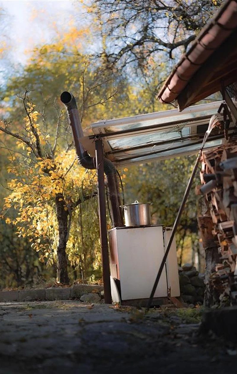 An autumn backyard with a wooden shed