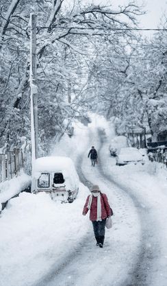A person walking down a snowy, tree-lined road