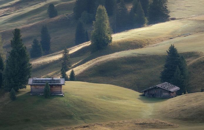 Rolling green hills with wooden huts and fir trees