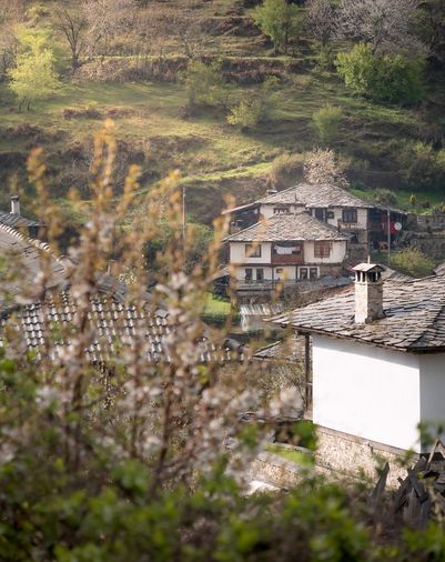 Stone houses on a forested hillside